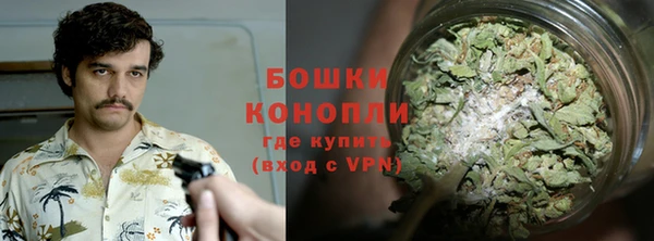 дурь Алзамай