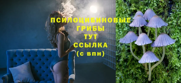 дурь Алзамай