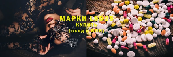 дурь Алзамай